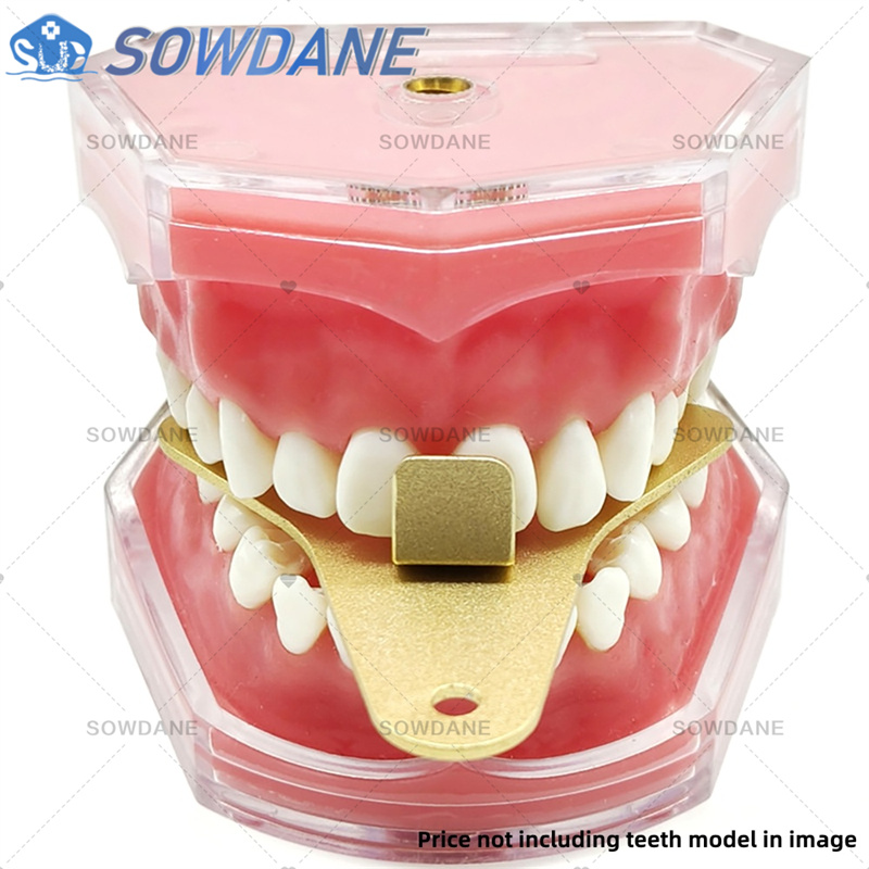 صواني انطباع مختبر الأسنان لتح - مراجعة Teeth Whitening Tray وسعره