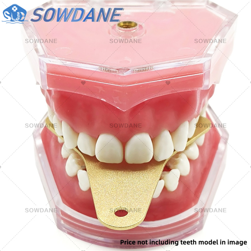 صواني انطباع مختبر الأسنان لتح - مراجعة Teeth Whitening Tray وسعره